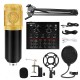 Keepro BM 800 V8 ses kartı seti kondansatör mikrofon canlı kayıt mixeri